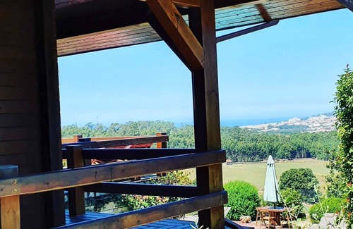 Freixieiro de Soutelo House | Casa das Oliveiras - Rustic style villa in an incredible location