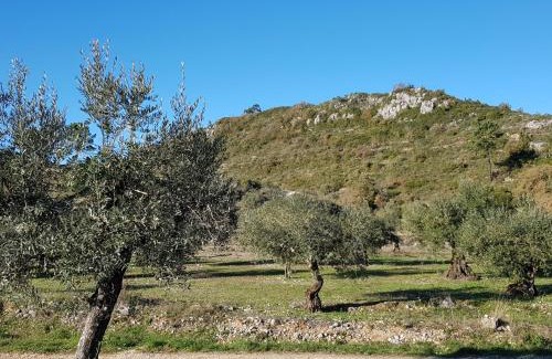 Alvados Villa | Casa Das Oliveiras