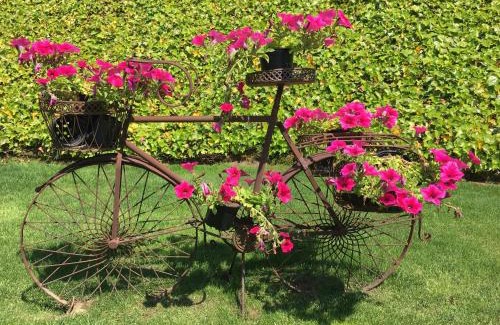 Figueroa House | Casa das Veigas