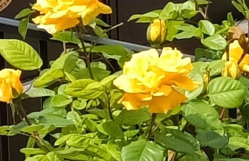 Bacor House | Casa De Aventuras ideal for large groups