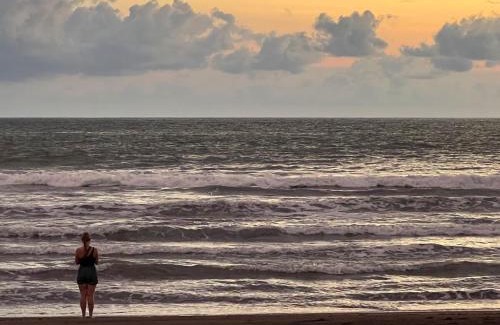 Parrita House | Casa de Cacao, A Treetop Cottage in Cacao Forest!