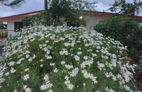 Sotaquira House | CASA DE CAMPO LA ALDANA