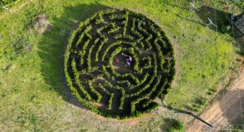 Rodeio Resort | Casa de campo Rosa dos ventos