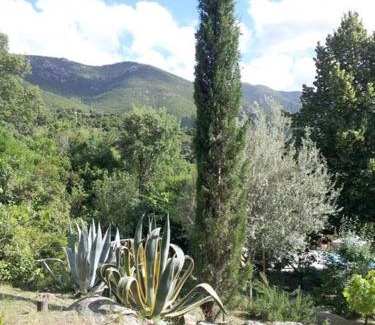 Peri House | Casa de Patarra gîte dans le maquis avec piscine privée