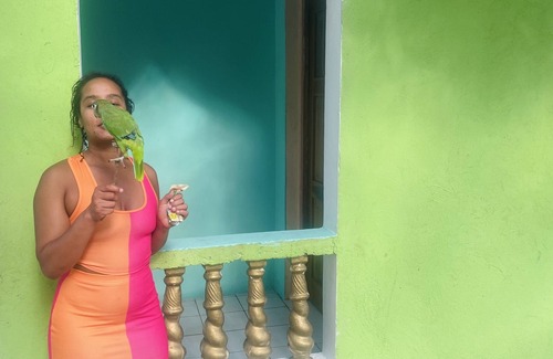 Ocho Rios Villa | Casa de Rios