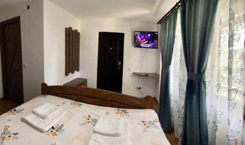 Curtea De Arges House | Casa de sub Salcie