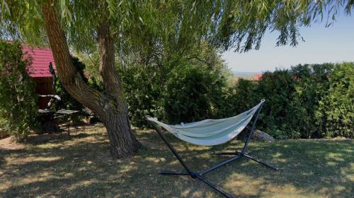 Sasca Montana House | Casa de Vacanta Potoc