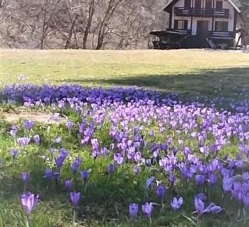 Rucar Ski Chalet | Casa de vacanta Satic Piatra Craiului La Doi viermi