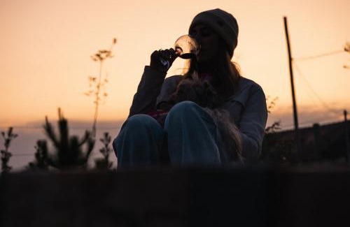 Picarras Villa | CASA DE VIDRO EM MEIO A NATUREZA - Conteiner Lua