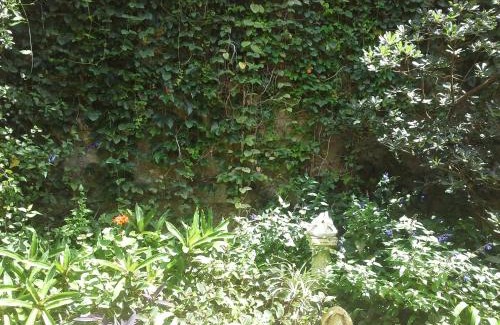 La Plata House | Casa del Angel Dúplex Céntrico