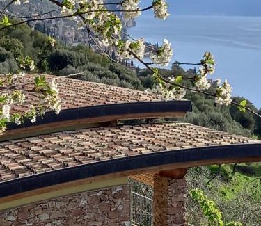 Villavetro House | Casa del Codirosso
