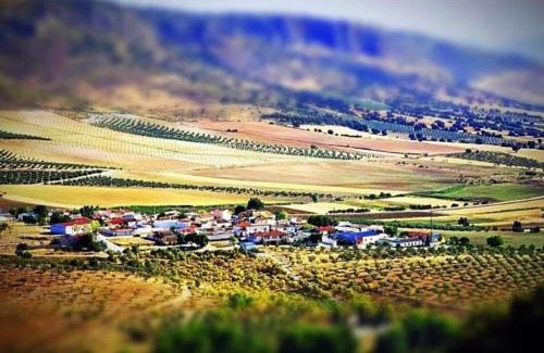 Diezma House | Casa Del Guarda