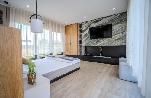 Sinteu House | Casa Deluxe in Sinteu - intersectia intre modern si linistea naturii