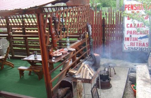 Capatineni-Ungureni House | Casa Denisa Vidraru transfgarasan