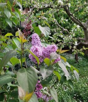 Santa Luce Apartment | Casa di Giulia (Bambini gratis fino a 6 anni)