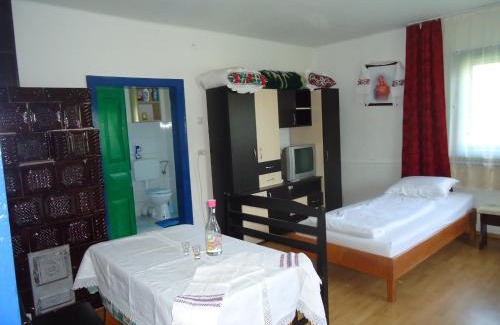 Somcuta Mare Apartment | Casa din Dâmb