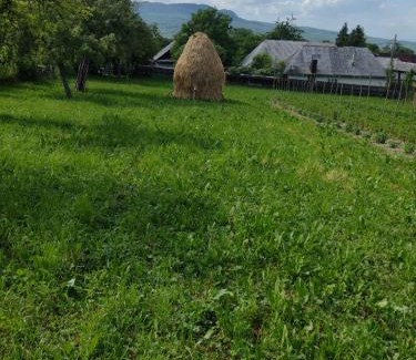 Somcuta Mare Apartment | Casa din Dâmb