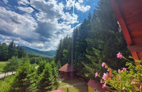 Traisteni Villa | Casa din Padure Valea Doftanei