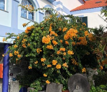 Velas House | Casa Do Antonio