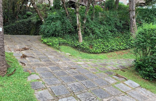 Campos do Jordao Cottage | Casa do Bosque Campos do Jordão