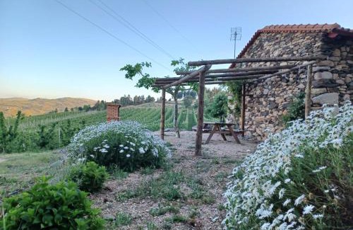 Tabuaco House | Casa do Feitor - Douro - Quinta da Cabrida