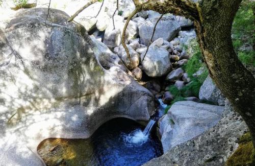 Covilha House | Casa do Fundo do Povo - Serra da Estrela