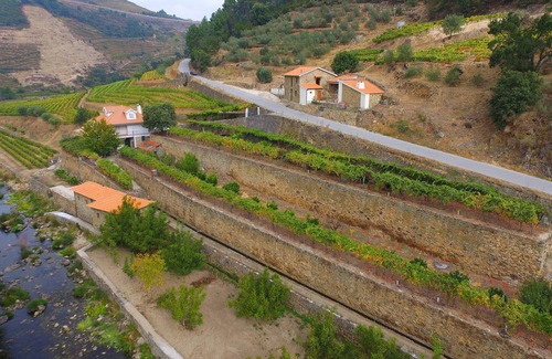 Varzea de Abrunhais Villa | Casa do Moinho - Quinta de Recião