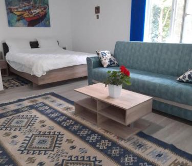 Jupiter House | Casa Dobrogea