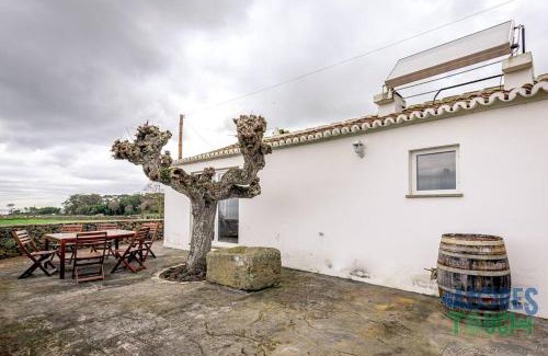 Angra do Heroismo House | Casa dos Calços