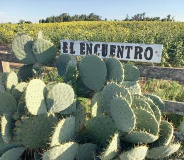 Partido de Bolivar House | Casa El Encuentro