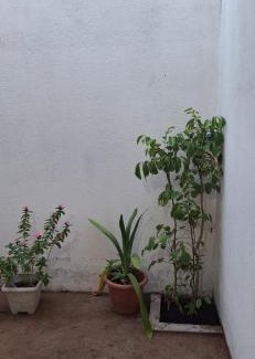 Santa Teresa House | Casa em Parnamirim próximo ao centro