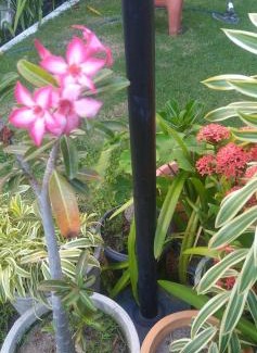 Ponta de Pedras House | Casa em Ponta De Pedras- Encanto do Litoral!