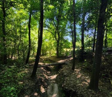 La Granja House | CASA EN VERTIENTES DE LA GRANJA
