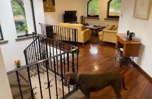 Puebla Villa | Casa entre árboles