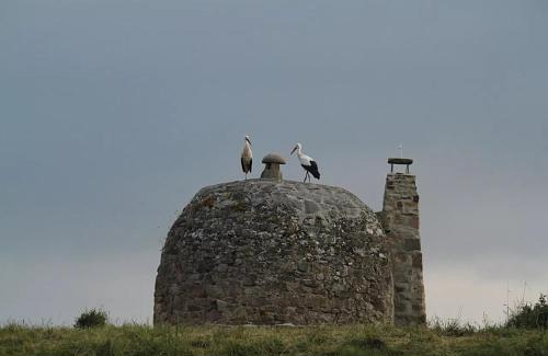 Muda House | Casa Entrenidos