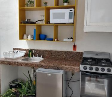 Colonia Flamingos Apartment | Casa Esencia