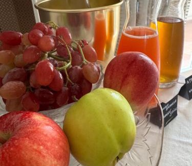 Cavallino Bed & Breakfast | Casa FEREMI