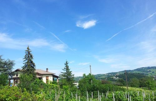 Montecalvo Versiggia Villa | Casa Fernanda