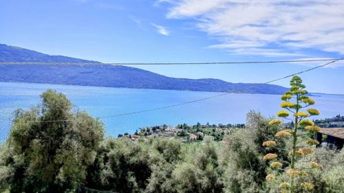 Gargnano House | Casa FiorElena