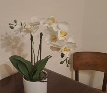 San Michele in Teverina House | Casa Flora