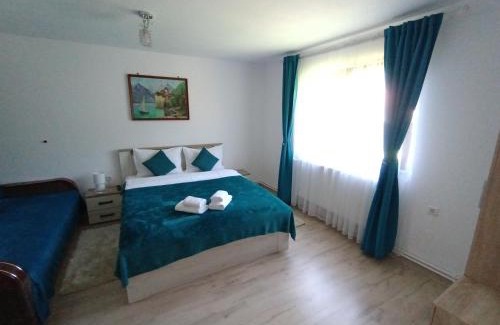 Vama Buzaului House | Casa FLOREA