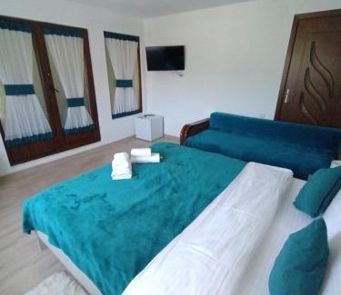 Vama Buzaului House | Casa FLOREA