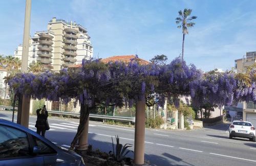 Arma di Taggia Apartment | Casa Glicine