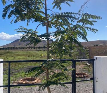 Valles de Ortega House | Casa Guillermo