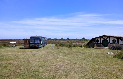 Chamiza House | Casa Hobbit Puerto Montt