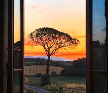 Bucine Bed & Breakfast | Casa le Rondini Toscana