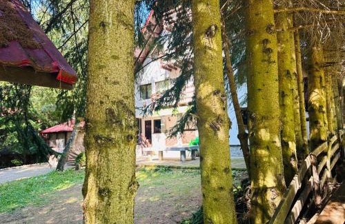 Dragoslavele Cabin | Casa Mario