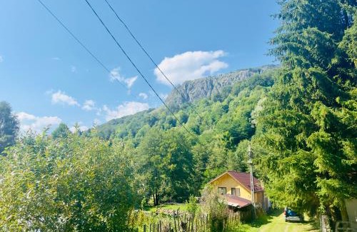 Dragoslavele Cabin | Casa Mario