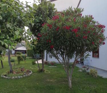 Zompicchia Apartment | Casa MI-RE-LA