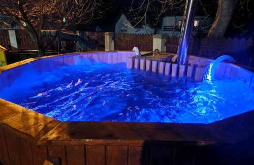 Busteni House | Casa Minerva